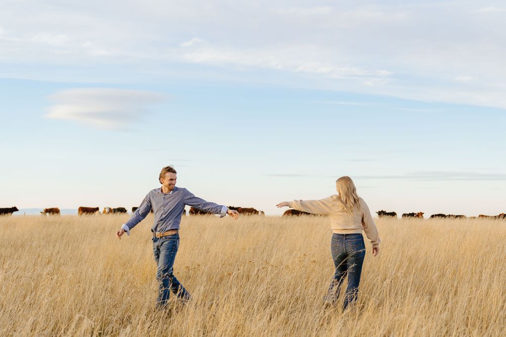Couple holding hands while walking through tall golden grass with cattle in the distance.