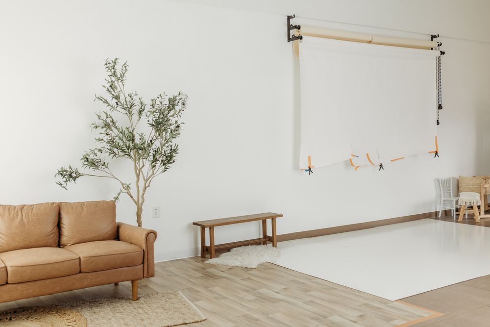 Minimalist photography studio with tan leather sofa, olive tree, wooden bench, and white backdrop on light hardwood floors.