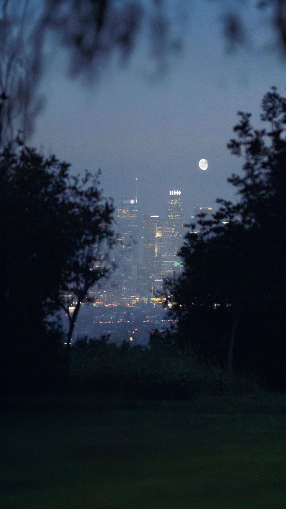 City lights glowing in twilight with the moon visible above urban skyline.