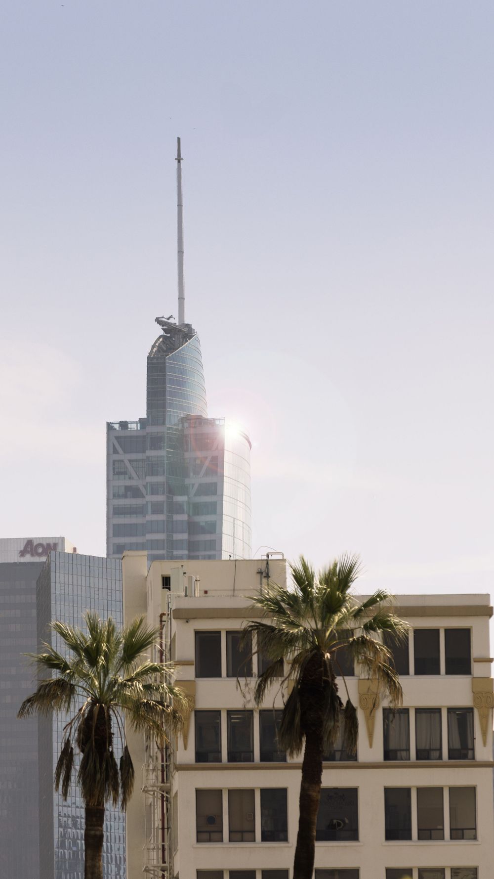 Modern office building with palm trees and sun flare in Los Angeles.