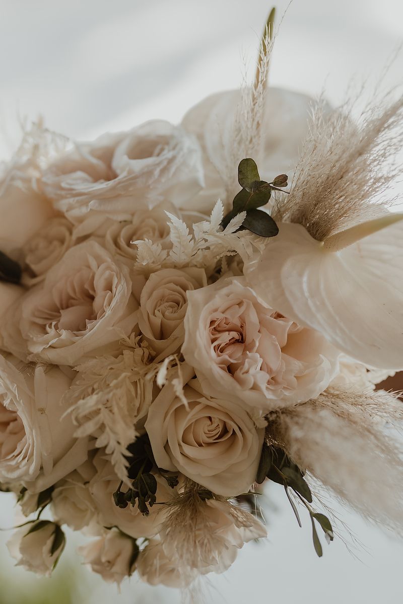 Elegant cream-colored roses and pampas grass in a muted neutral wedding bouquet with delicate eucalyptus accents.