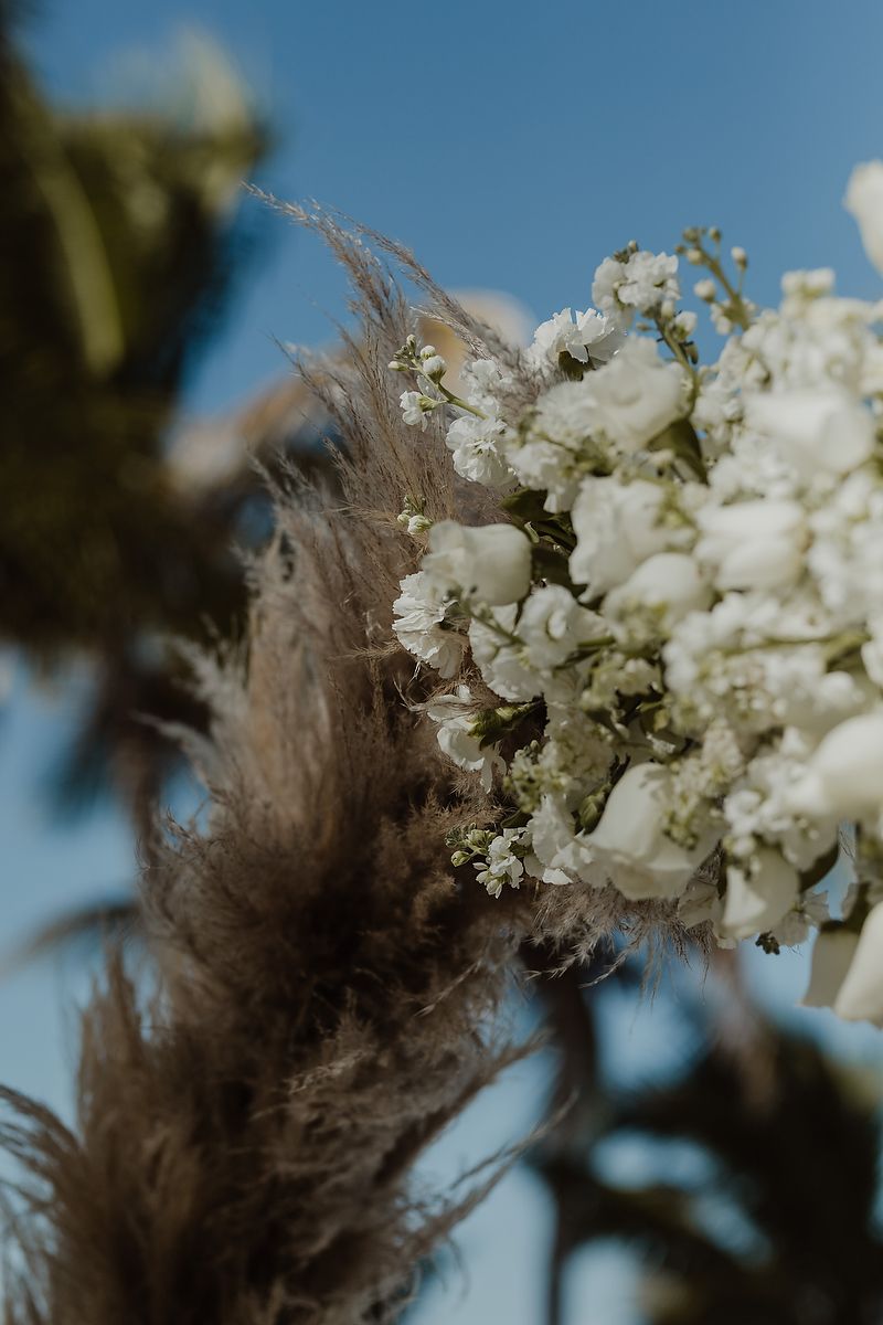 Delicate white flowers arranged with fluffy brown pampas grass plumes against a bright blue sky background.