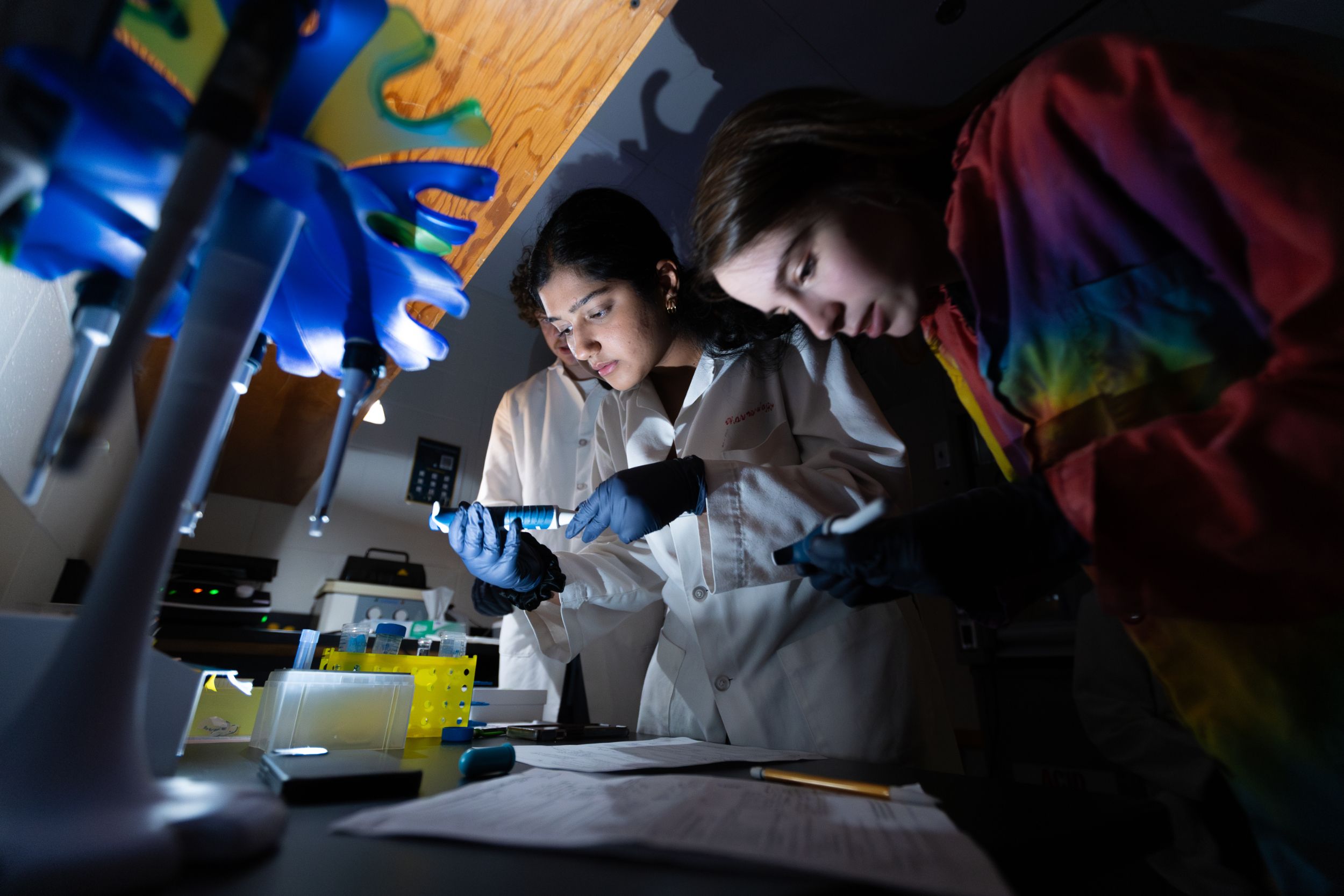 Students complete research in a lab.