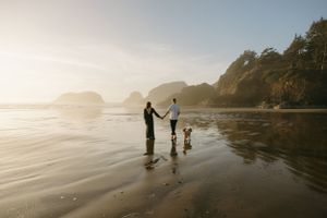 Silhouettes of people and a dog walking together on a misty beach at sunset with coastal cliffs in the background.