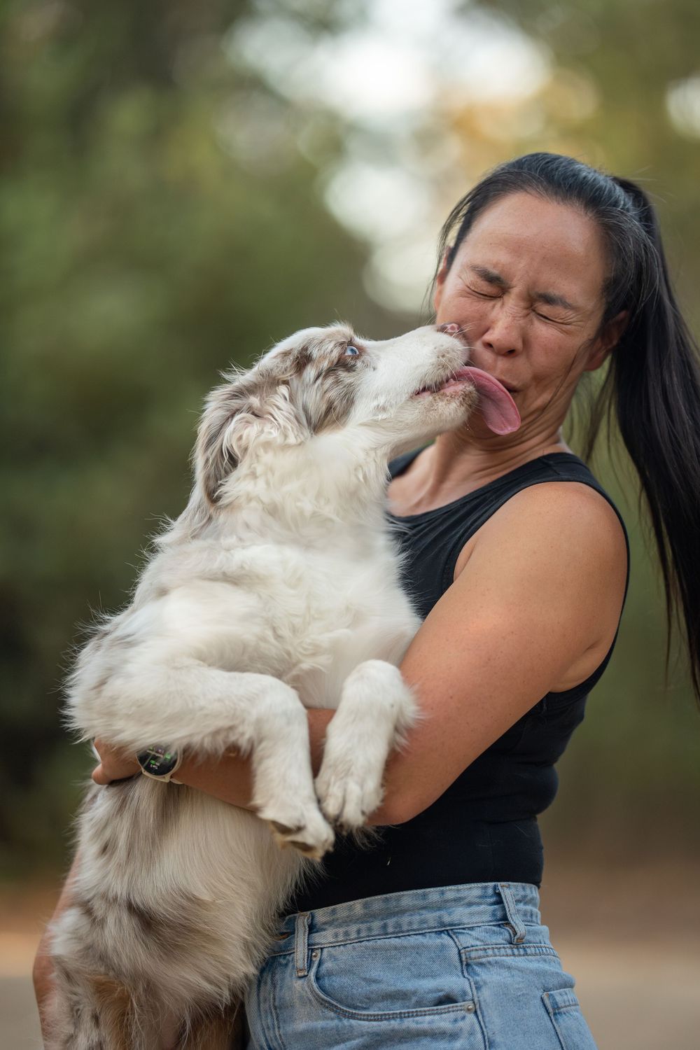 Woman holding fluffy Border Collie dog licking her face outdoors in a park setting south of the river in Perth.