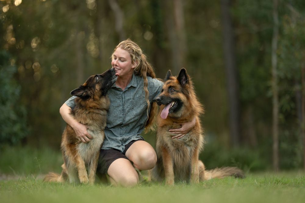 Woman kneeling on grass with two German Shepherds in a forest setting, one dog licking her face.