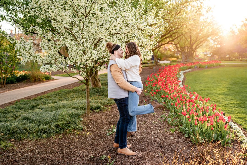 A romantic couple embraces under a blooming white cherry blossom tree next to bright red tulips at sunset.