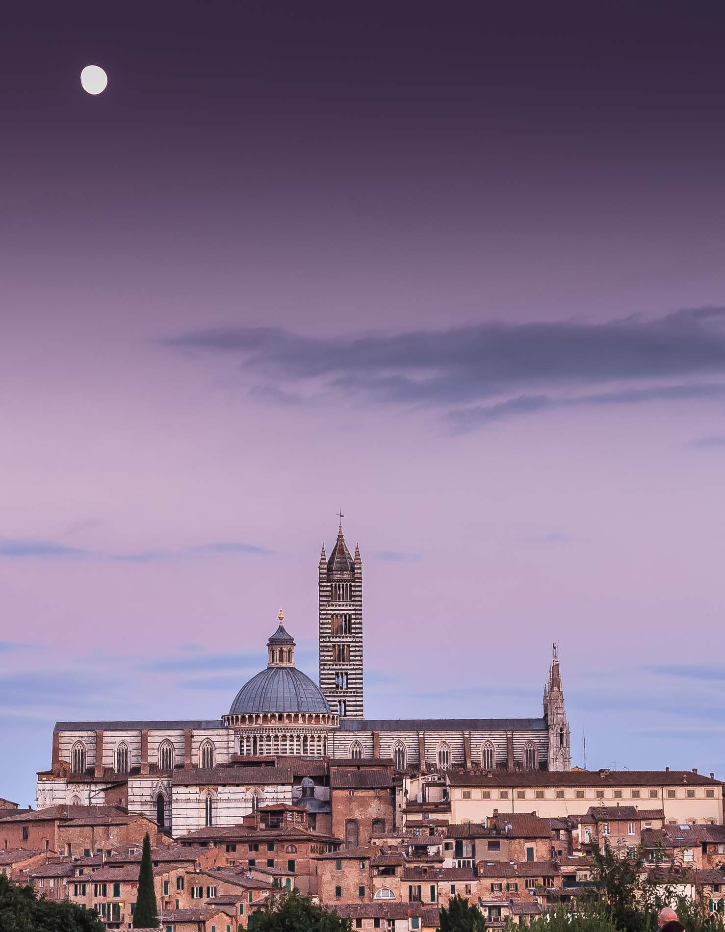 Siena, Italy,  Piazza del Duomo, Siena Cathedral