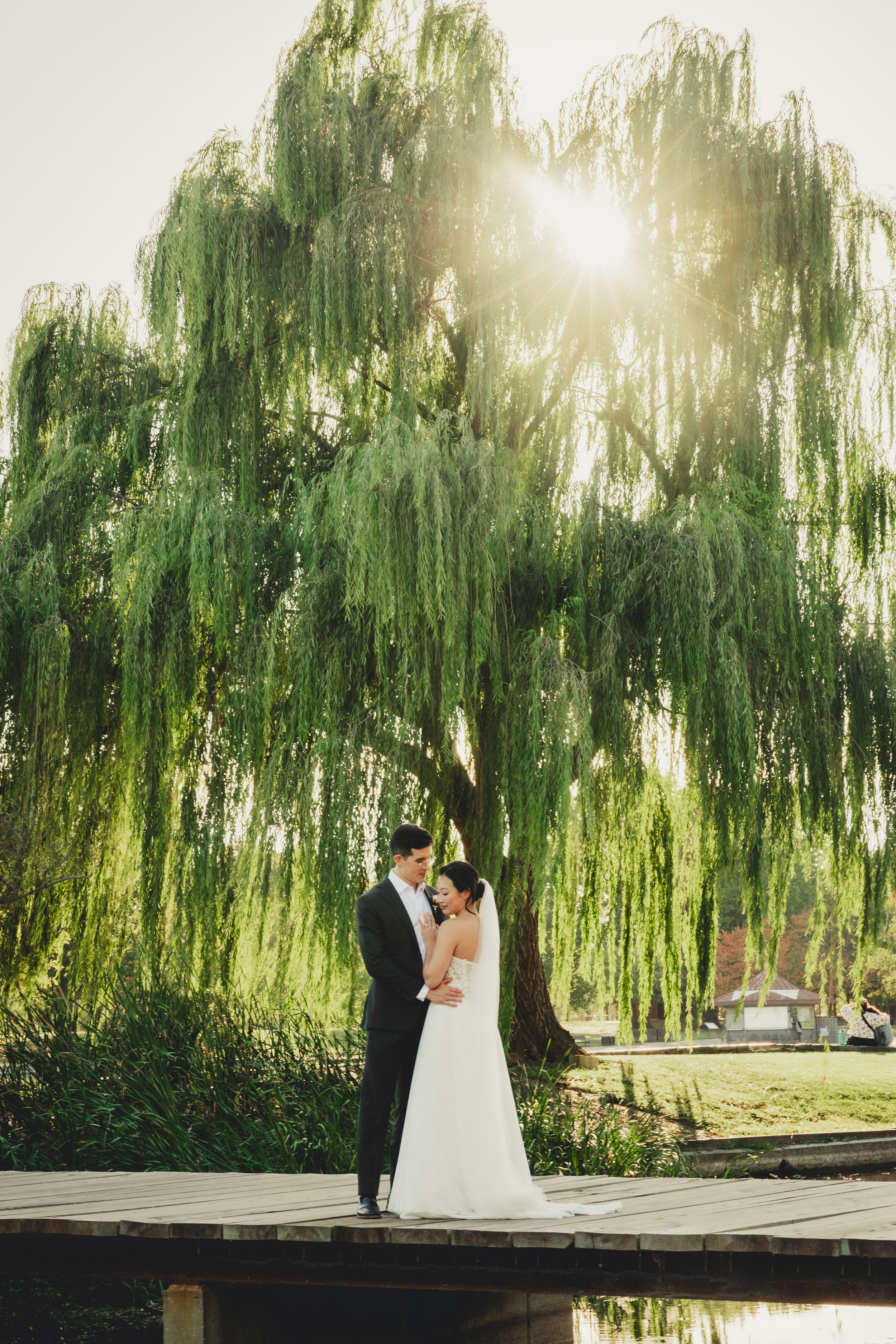Bride and groom embracing under a sunlit weeping willow tree on a wooden dock by a tranquil lake.