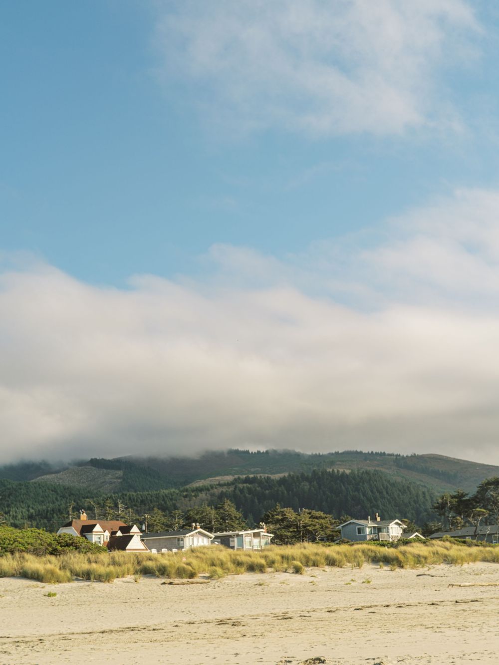 Coastal beach scene with white houses nestled among trees, rolling forested hills, and dramatic cloudy blue sky.