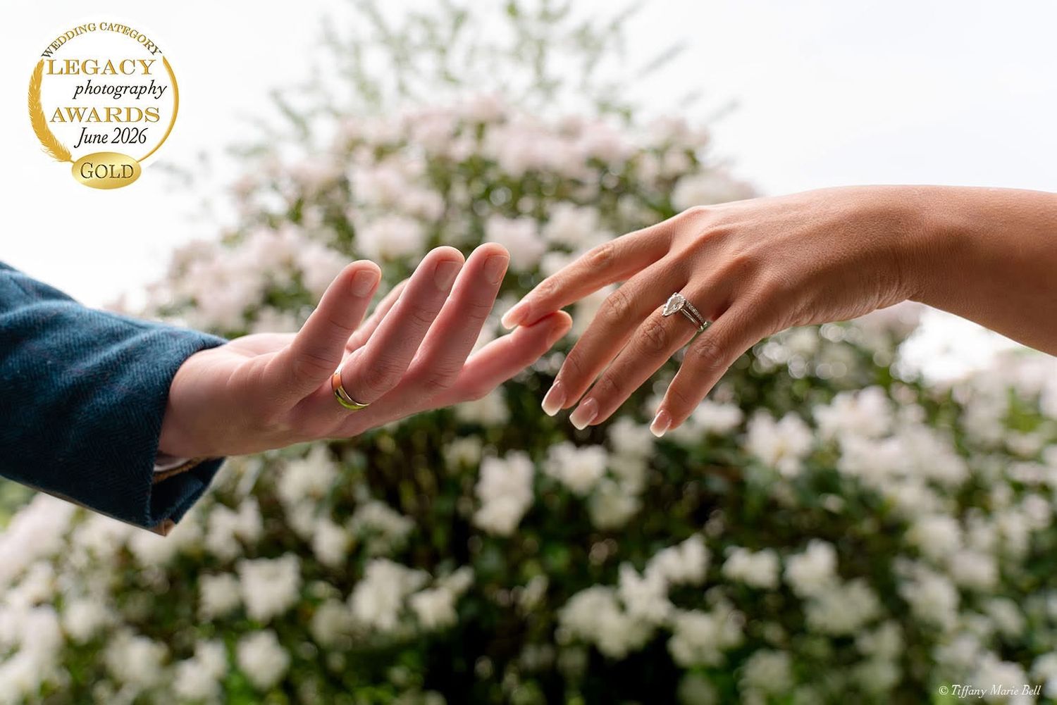 Close-up of newlyweds' hands reaching toward each other, highlighting their wedding bands with soft white flowers blurred in the background