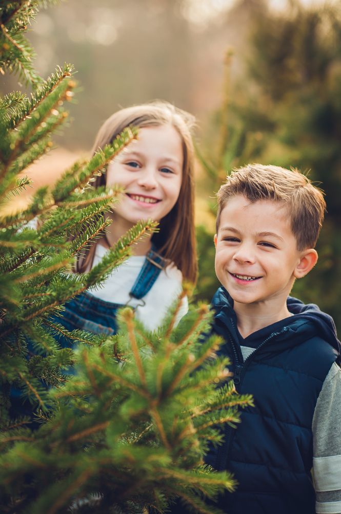 Two smiling children posing among green pine trees at a Christmas tree farm on a sunny day.