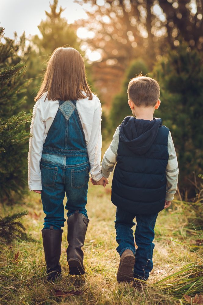 Two children holding hands walk through a Christmas tree farm in autumn, viewed from behind.