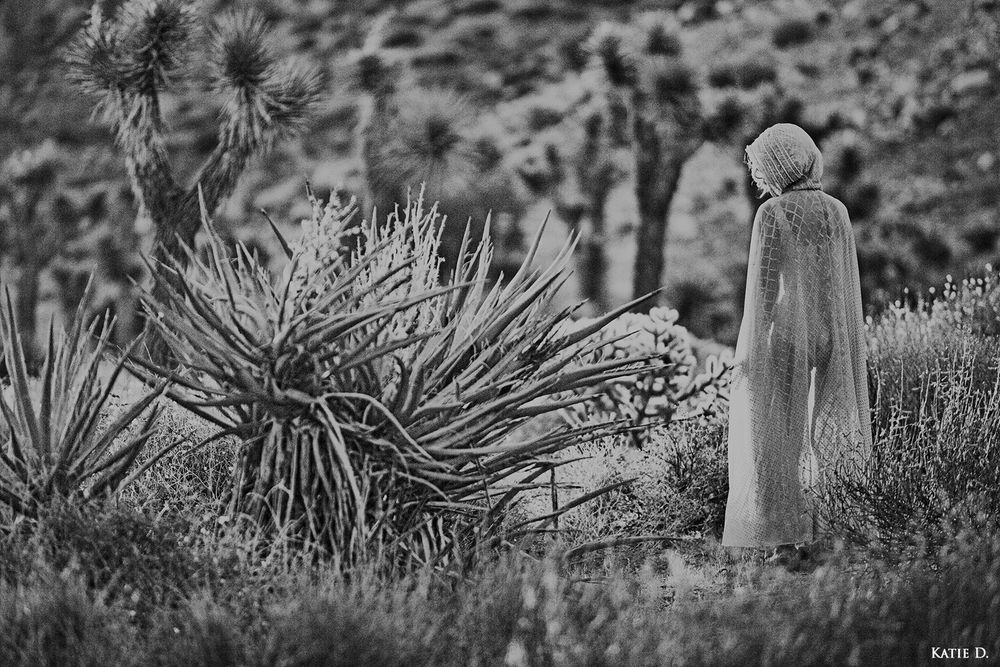 Black and white photo of a robed figure standing among agave plants in Joshua Tree desert.