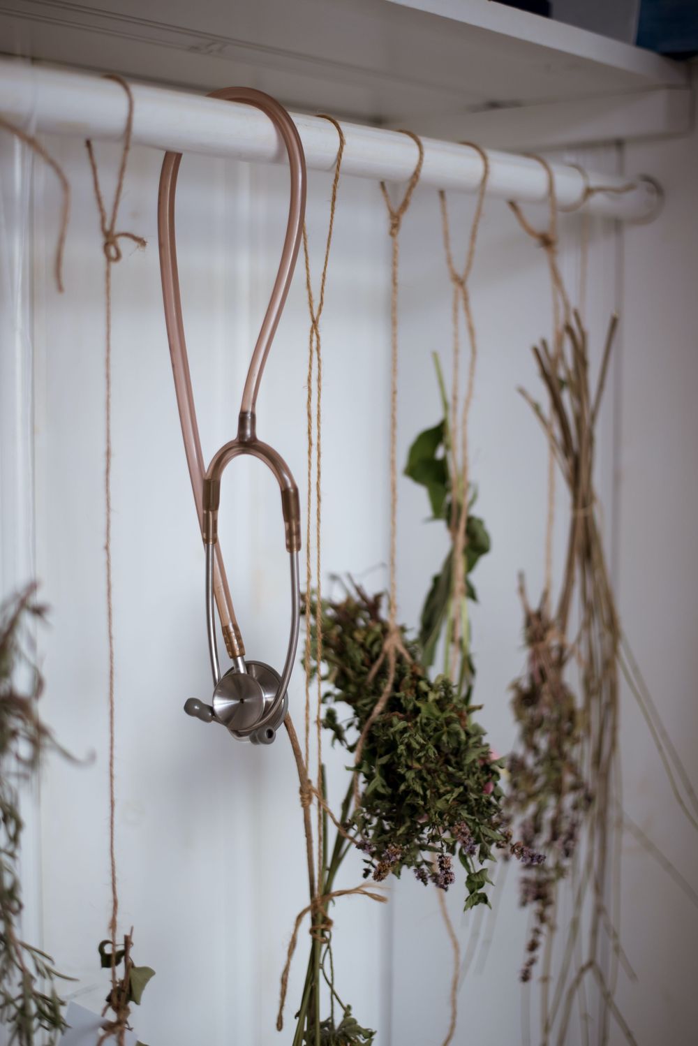 Stethoscope and dried herb bundles hanging from twine on a white wooden rod near a window.