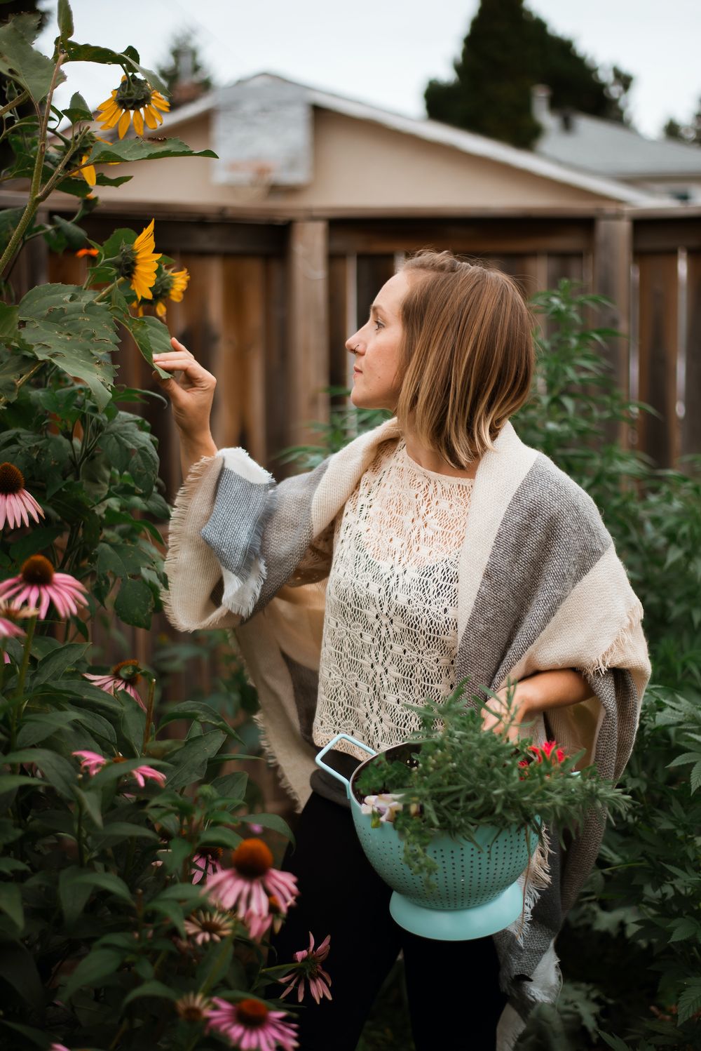Woman in shawl holding colander examines sunflowers in lush backyard garden with echinacea blooms.