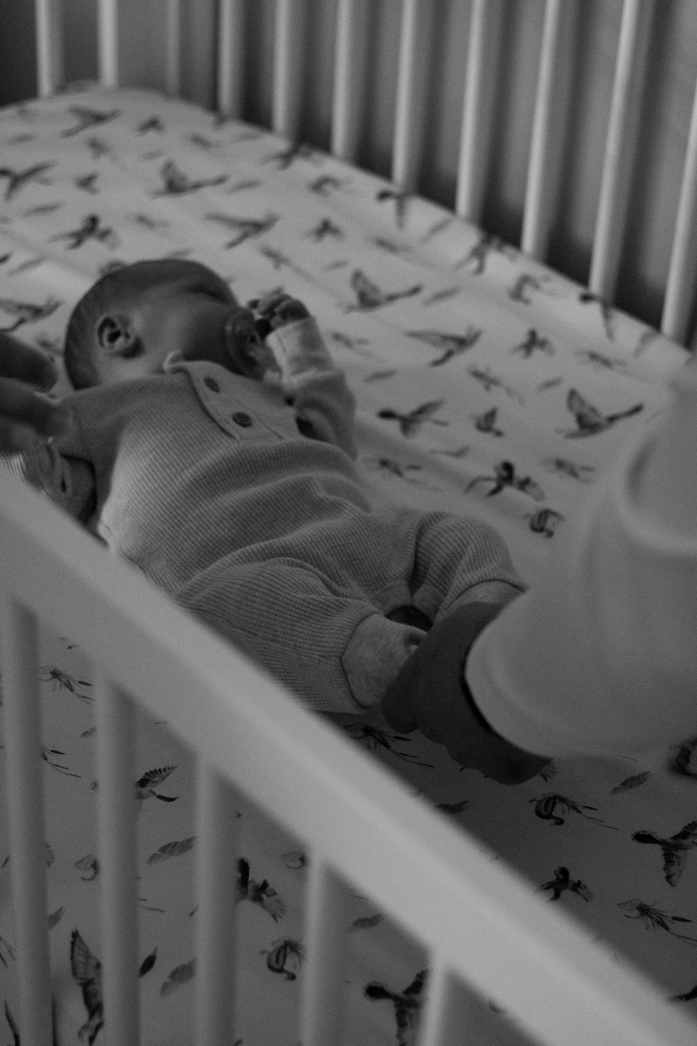 Black and white photo of a newborn baby lying in a white crib on a bird-print sheet.
