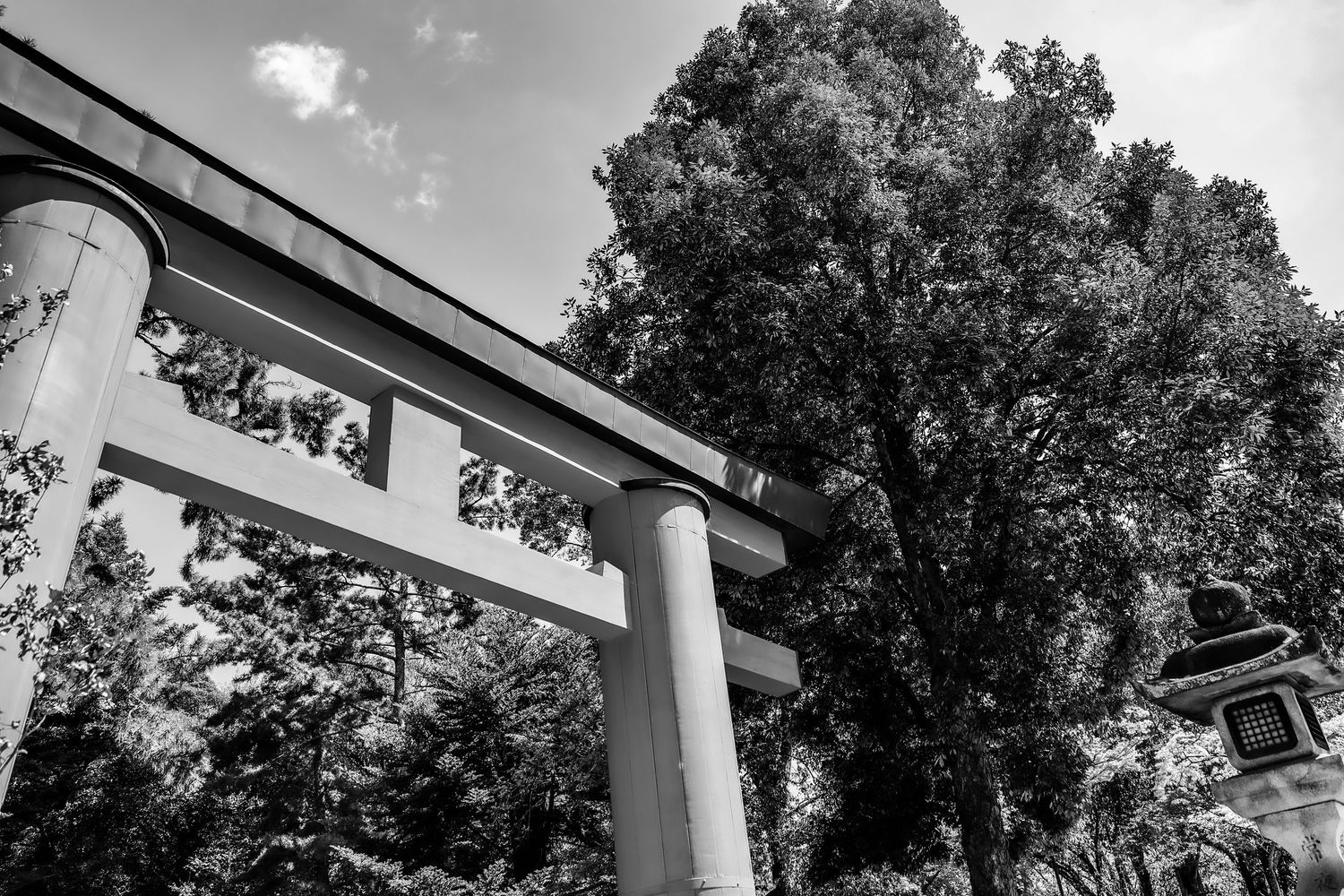 Black and white photo of traditional Japanese torii gate framed by large tree and sky.