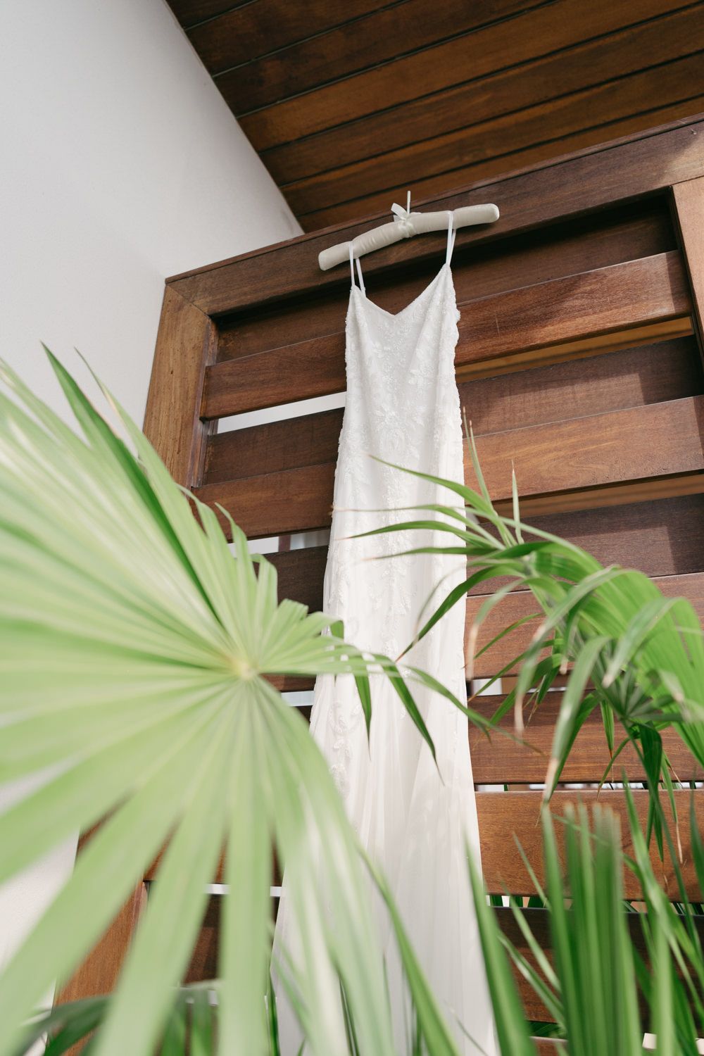 White wedding dress hanging on wooden wall with tropical palm leaves in foreground.