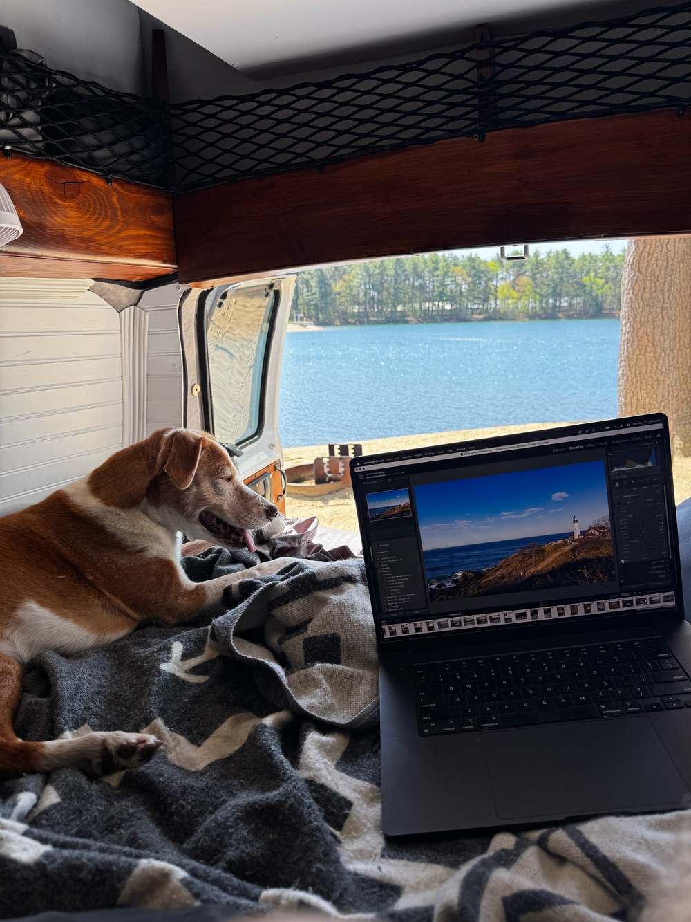 A dog resting on a blanket in a camper van with a laptop displaying photo editing software and a scenic lake view.