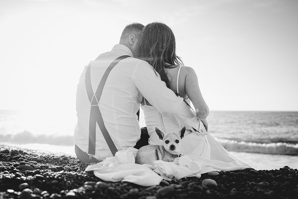 Pareja sentada junto al mar con su perro durante una sesión de postboda en Asturias