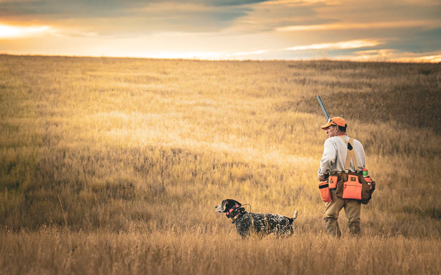 Hunter with orange vest and dog walking through golden prairie grass fields at sunset during hunting season.