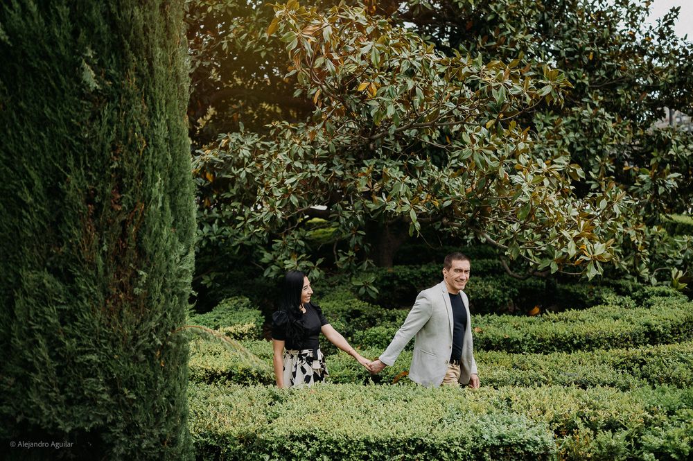 Couple holds hands walking through lush green garden maze with tall hedges and trees.