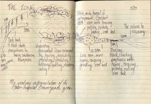 Handwritten journal notes titled The Zone with sketches describing environmental and sensory observations in a tropical setting.