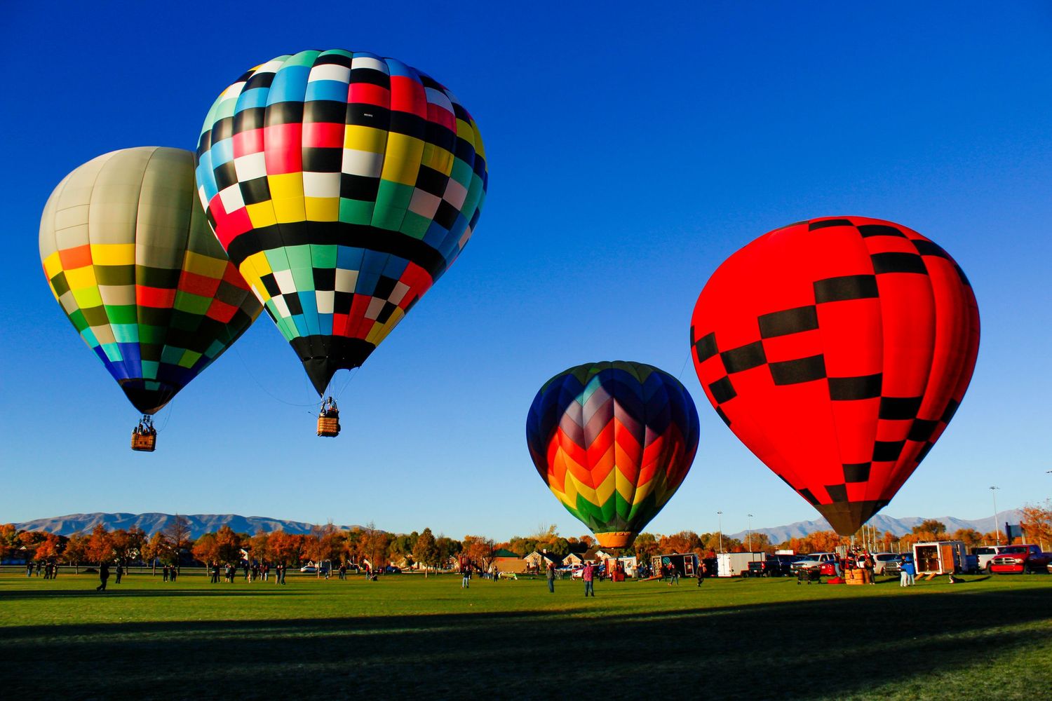 Colorful hot air balloons soaring over a green field against a clear blue sky at a balloon festival.