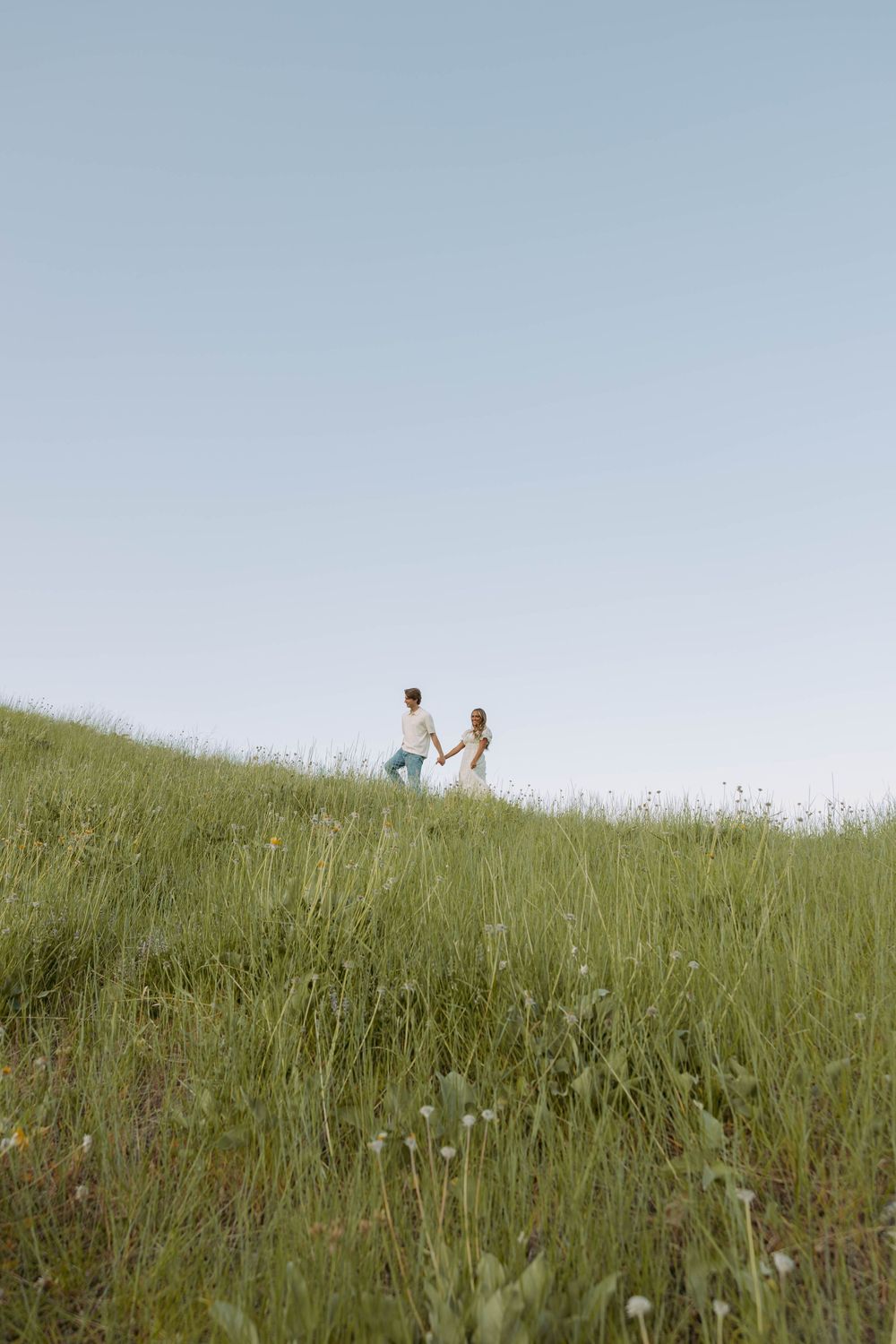 Three distant figures walking along a grassy hilltop with dandelions against a bright summer sky.