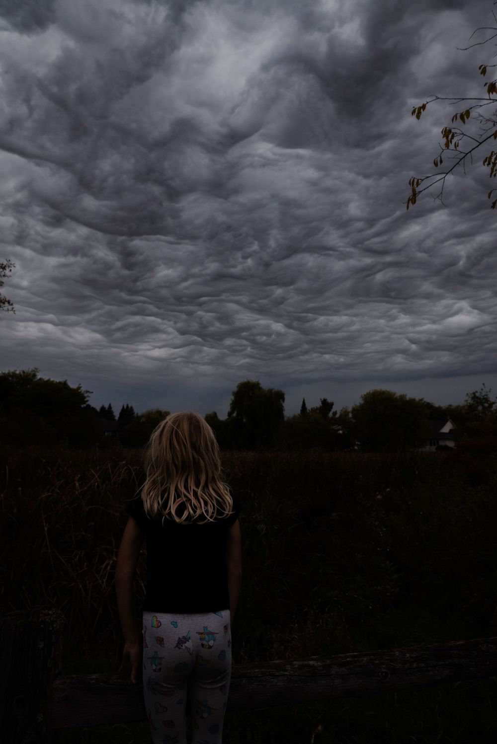 Rare Asperatus cloud formation, cloud photography, Ottawa sky, atmospheric clouds