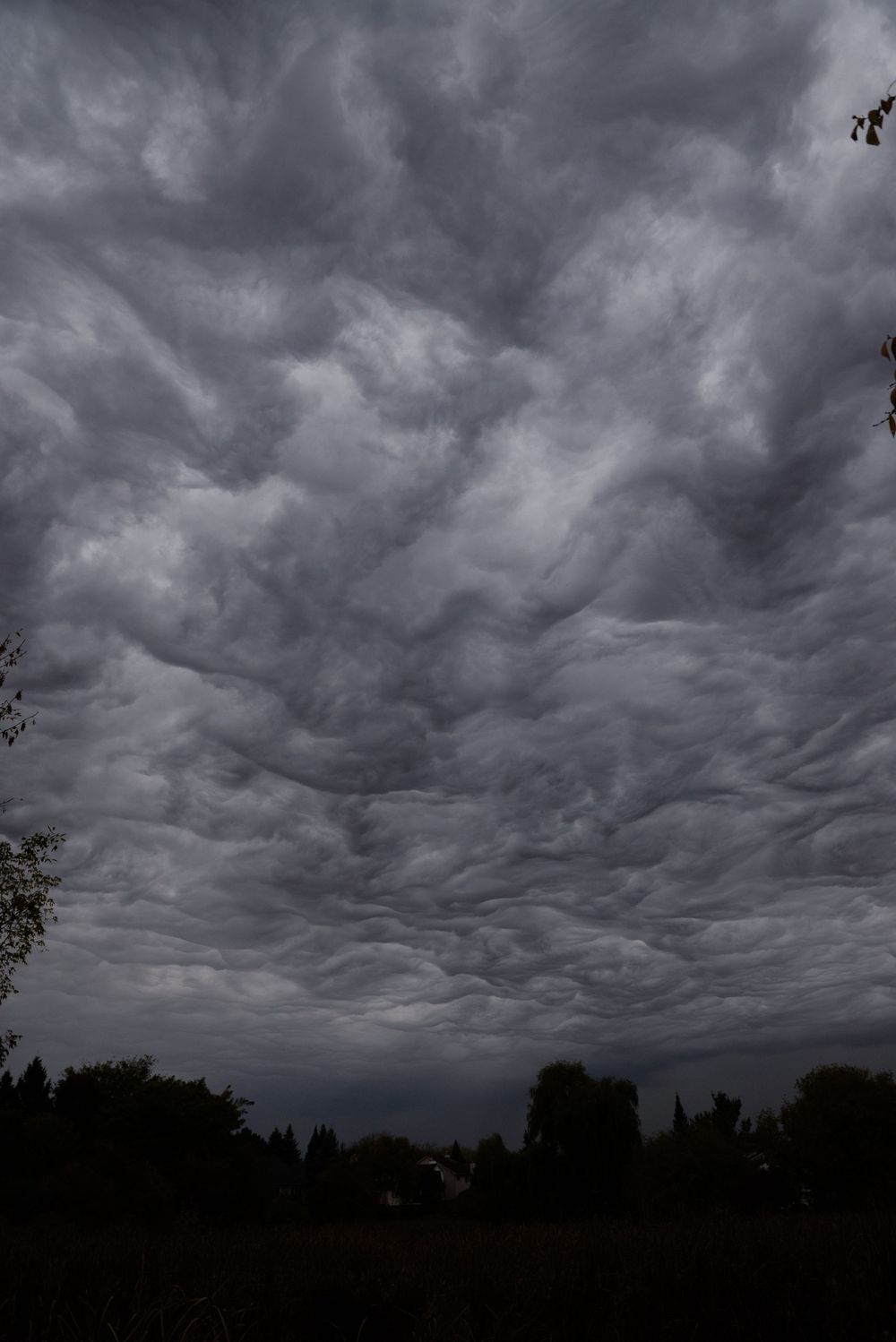 Rare Asperatus cloud formation, cloud photography, Ottawa sky, atmospheric clouds