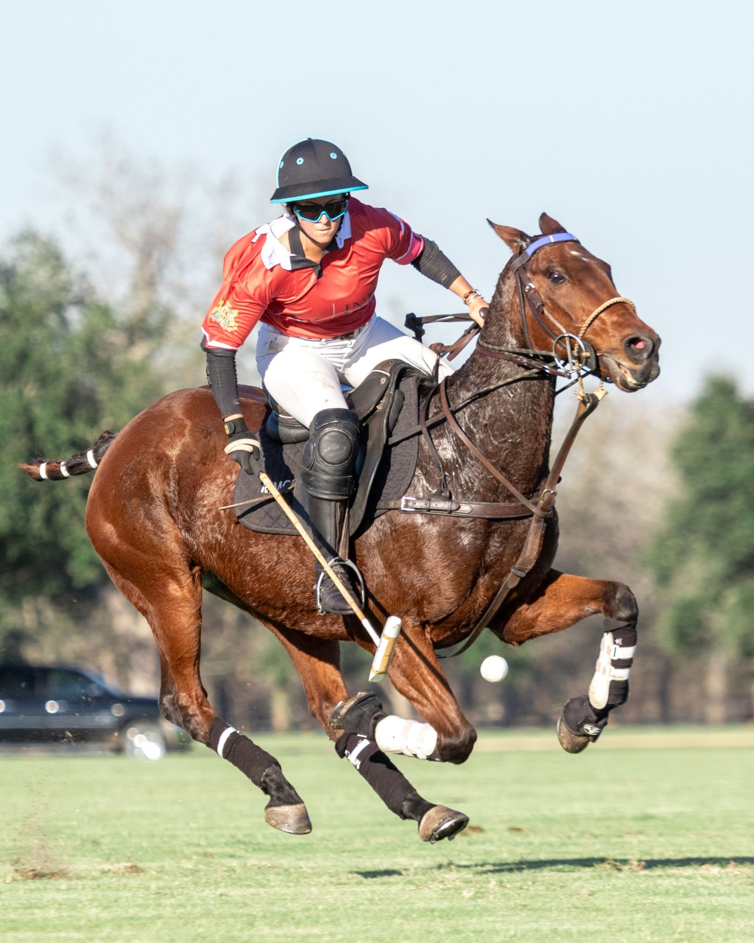 Polo