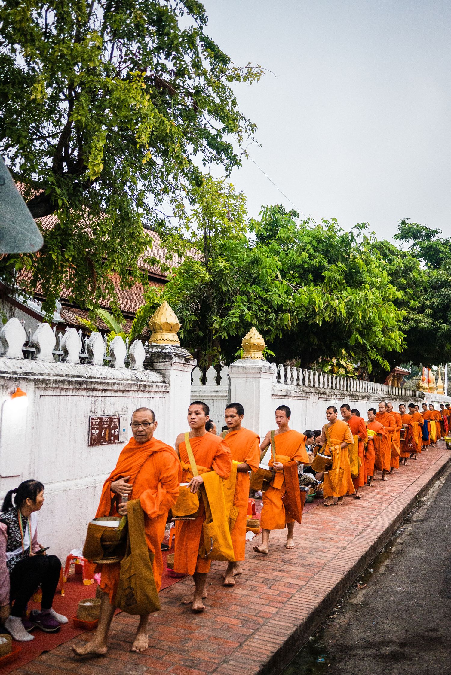 Line of Buddhist monks in orange robes walking along temple wall during alms collection. alms giving ceremony in luang prabang