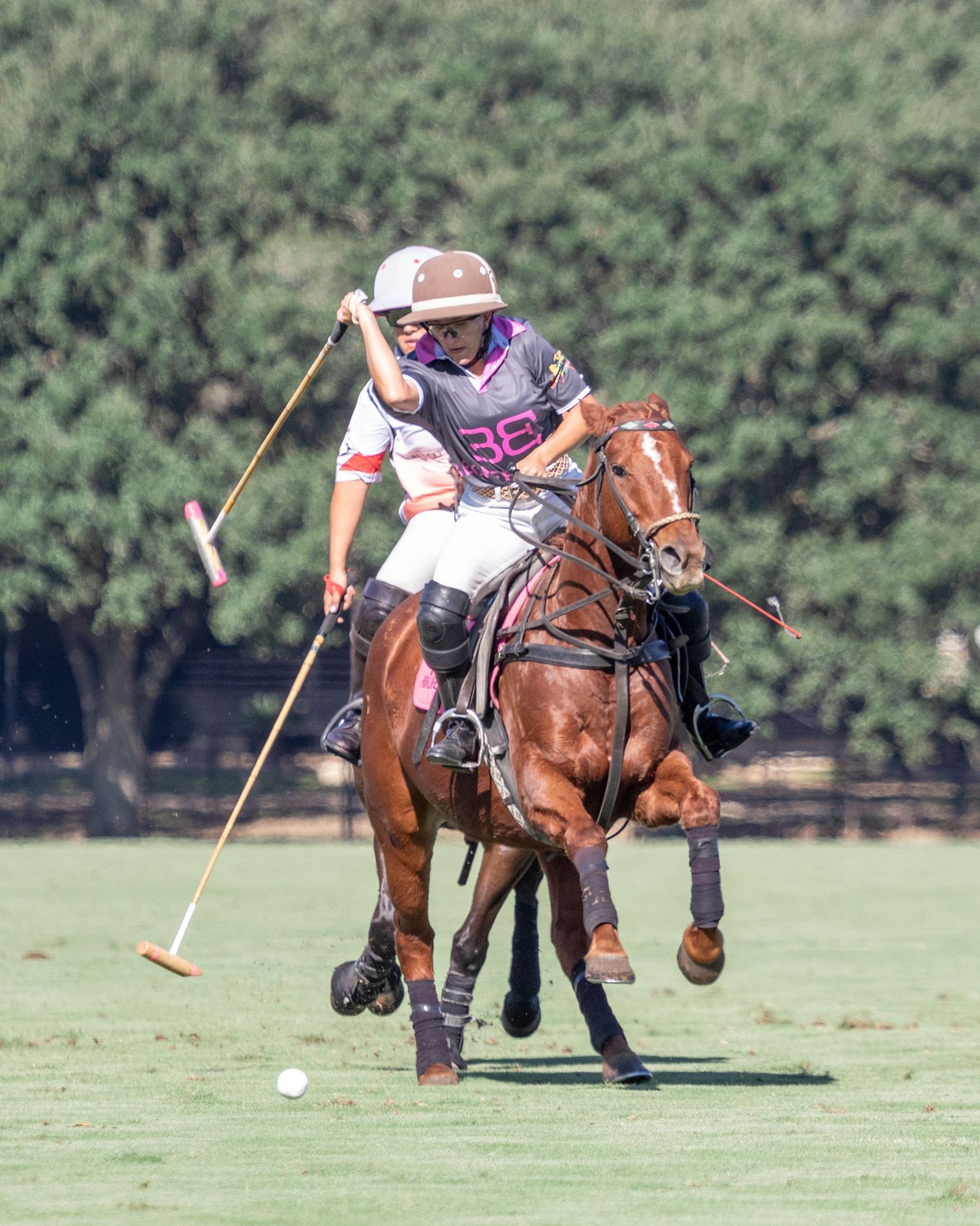 Polo
