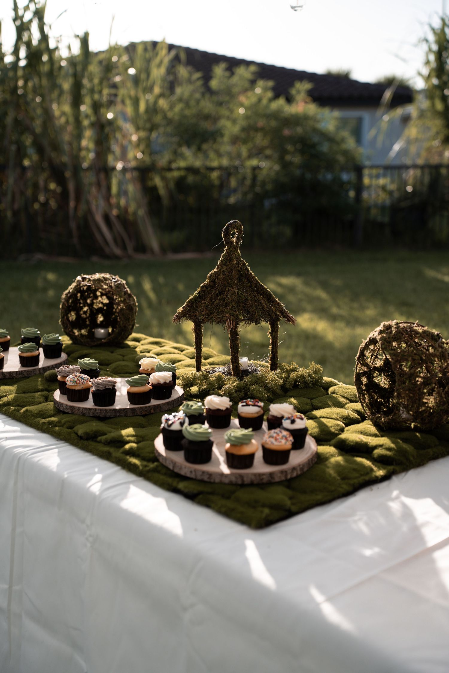 A tiered display of chocolate desserts on moss-covered platforms in natural sunlight against a dark background.