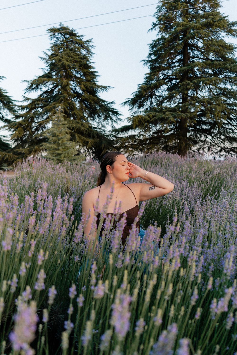 flower fields