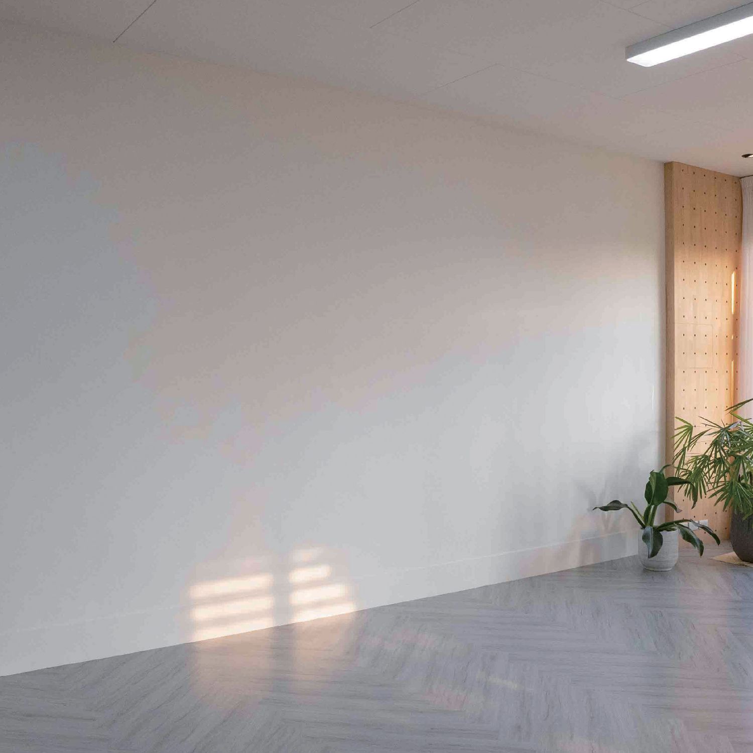 Empty modern hallway with white walls, fluorescent lighting, and plants in the corner of an office or commercial building.