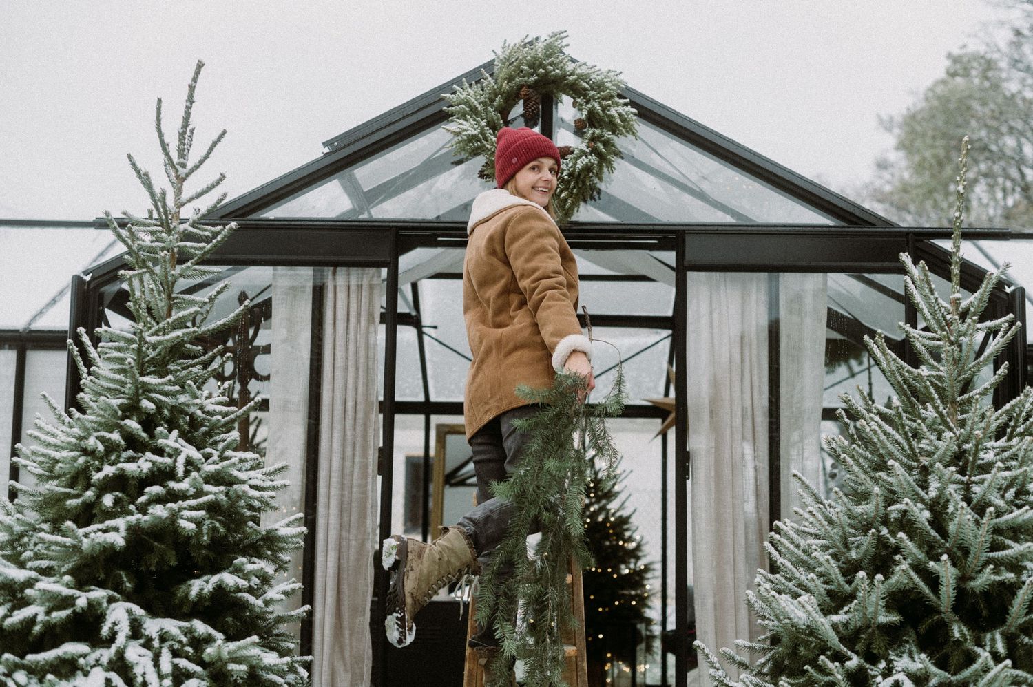 Snow-covered Christmas trees line a glass greenhouse structure on a winter day.