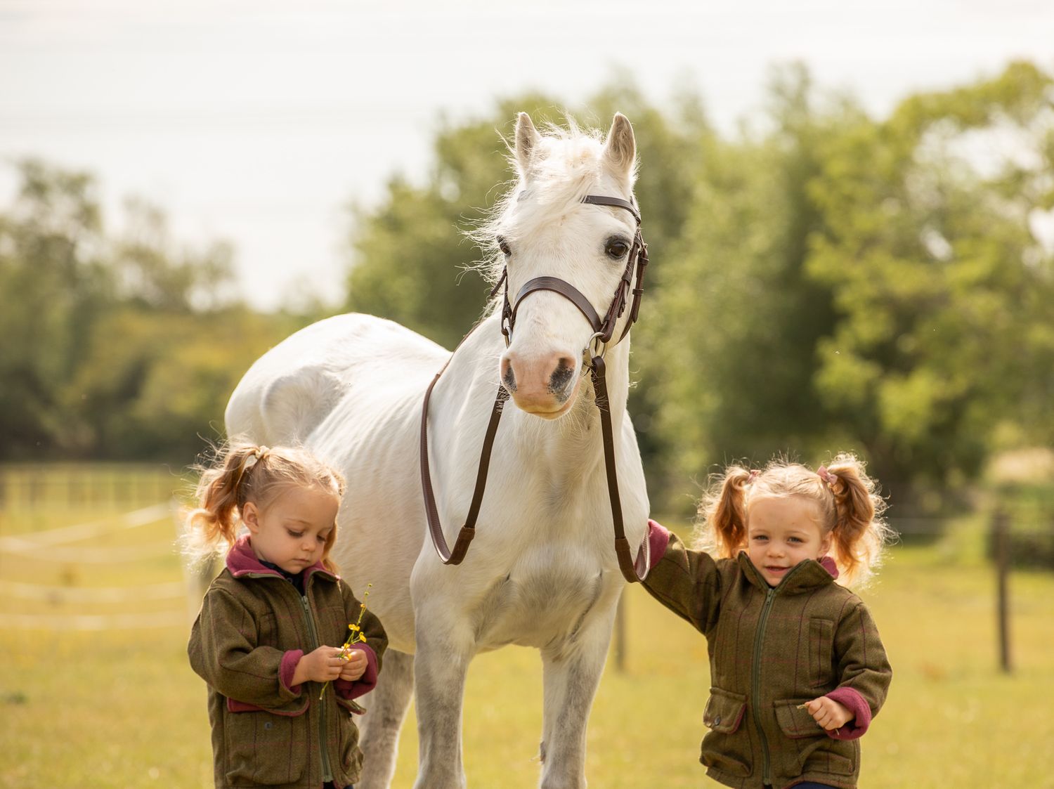 A group poses with horses along a tree-lined path during a sunny autumn day for outdoor photos.