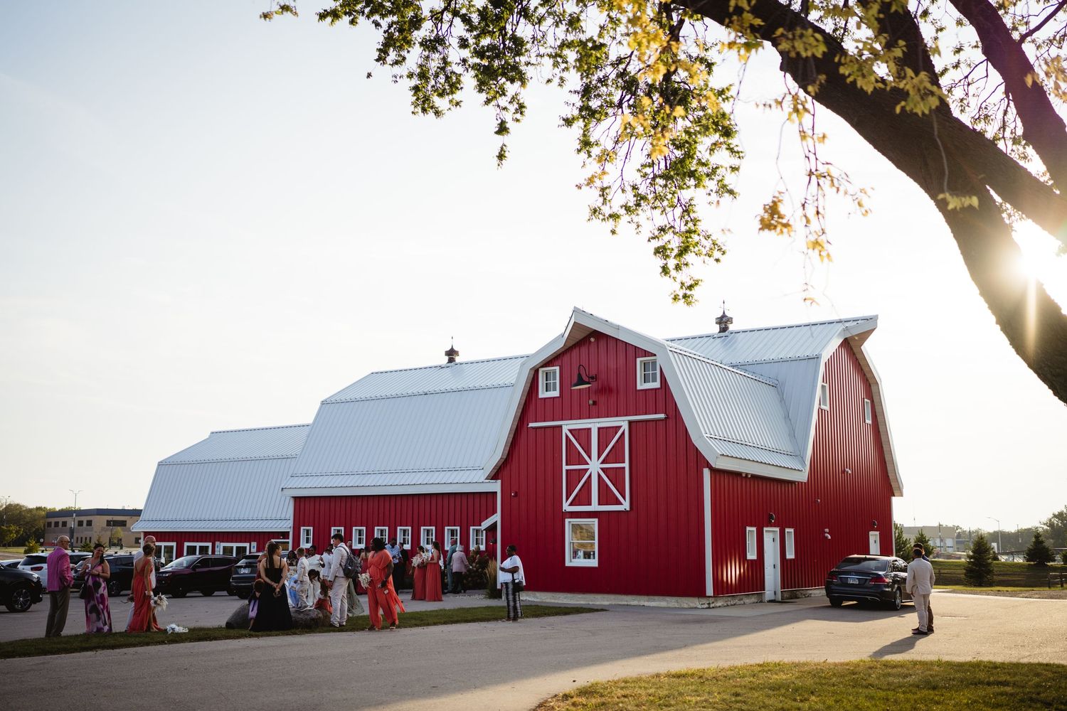 A collage of traditional red and white barns in rural farm settings at different times of day.