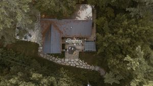 Aerial view of a forested waterfront property with buildings visible through the trees.