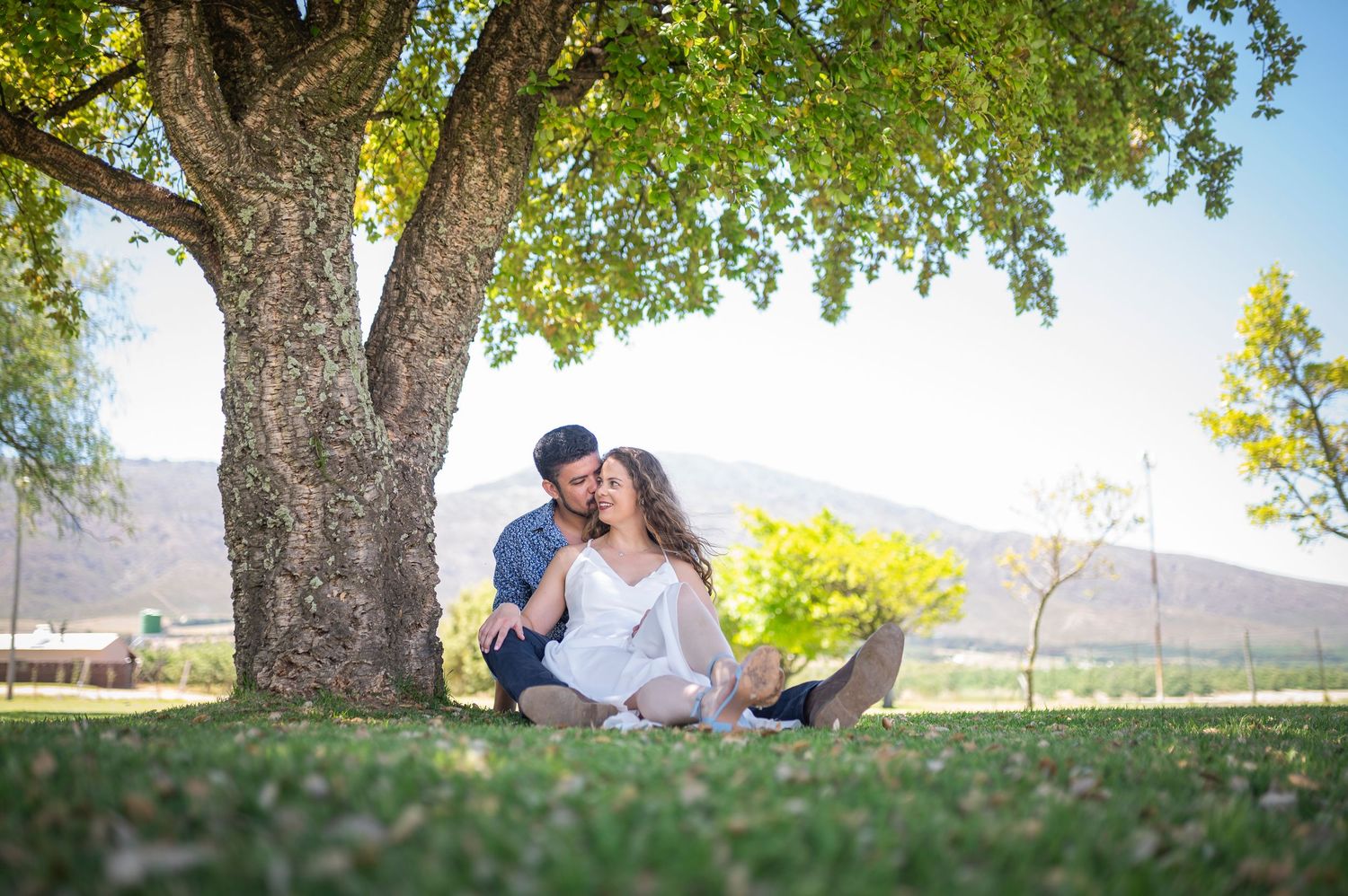Two people share an intimate moment under a large tree during a sunny summer day.