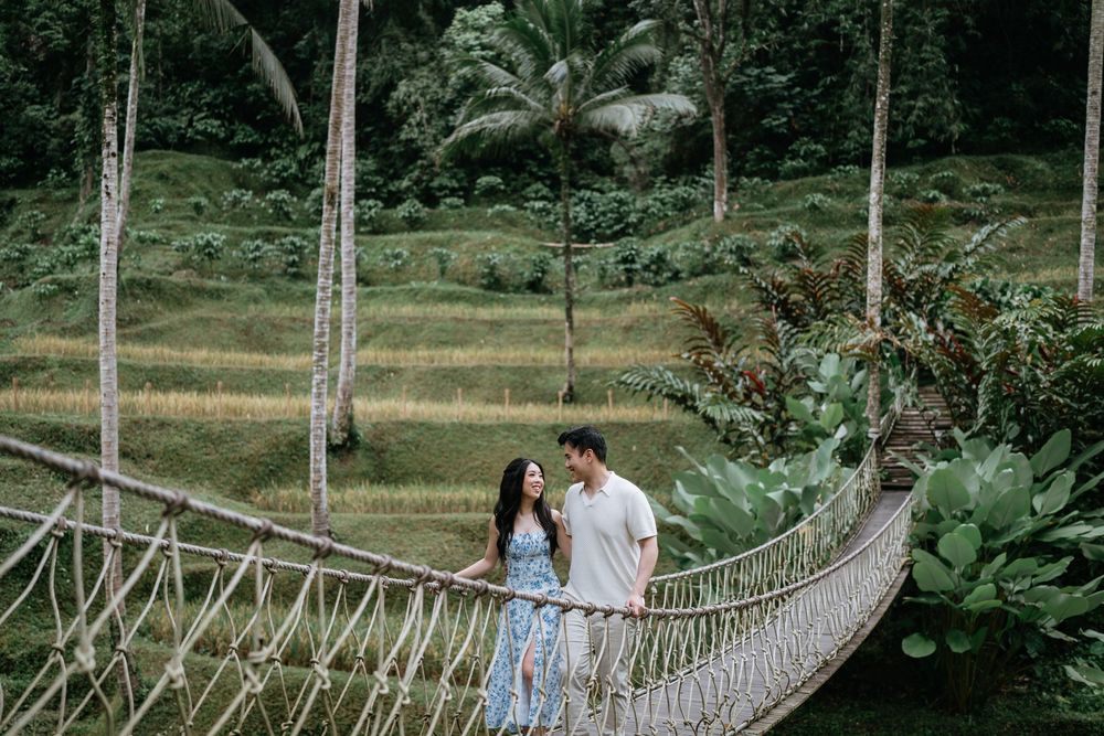 A rustic suspension bridge stretches across a tropical landscape with palm trees and greenery.
