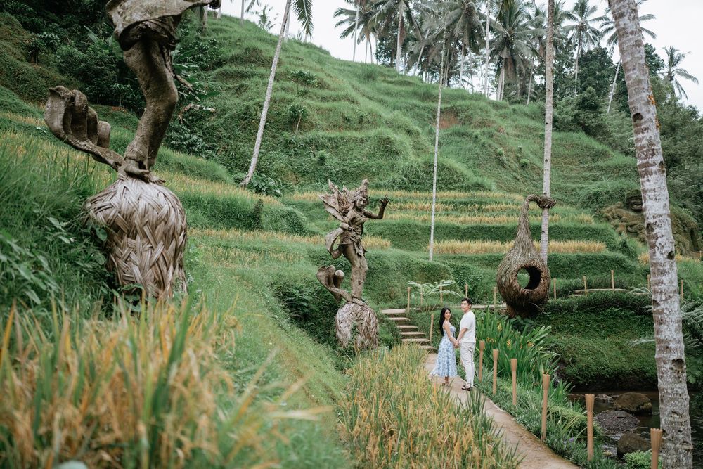 A distant view of a couple on a bridge pathway among terraced rice fields and palm trees.