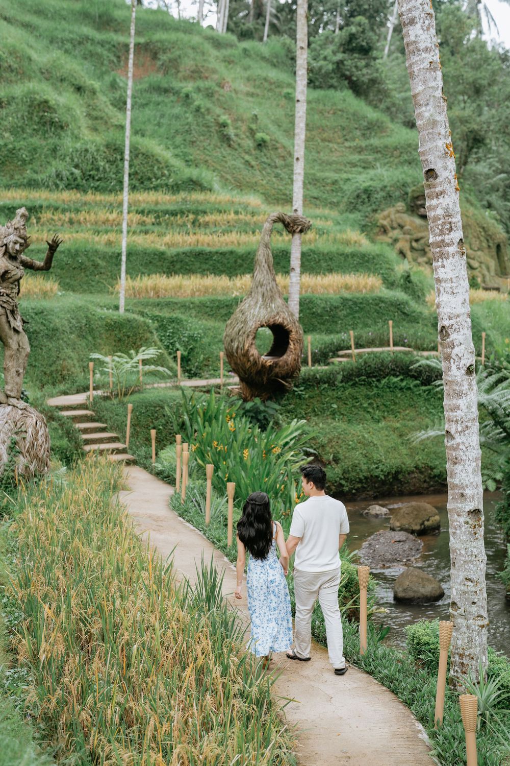 A winding path through terraced fields lined with palm trees and tropical vegetation.