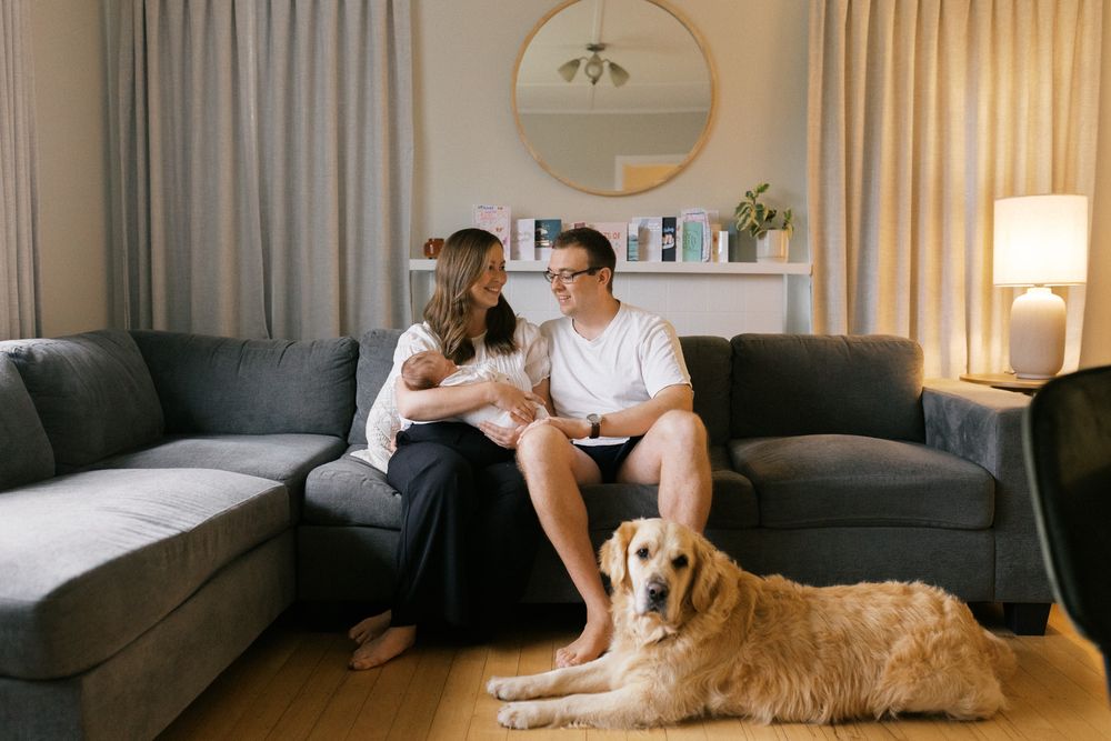 Cozy living room scene with couple relaxing on grey sectional sofa with their golden retriever.