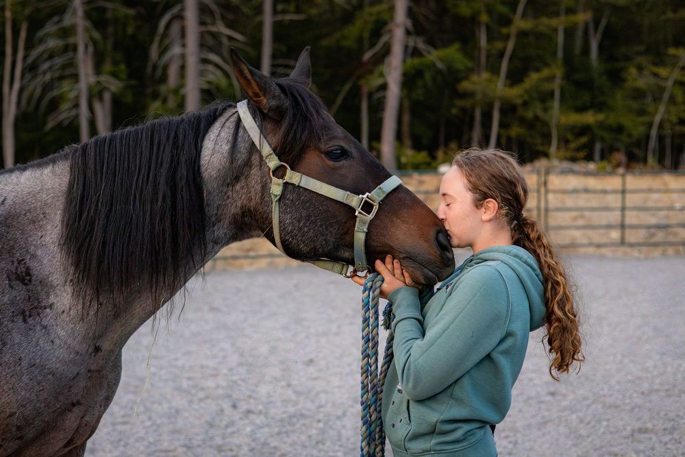 Two people embrace and kiss while standing next to a large black horse in an outdoor arena setting.