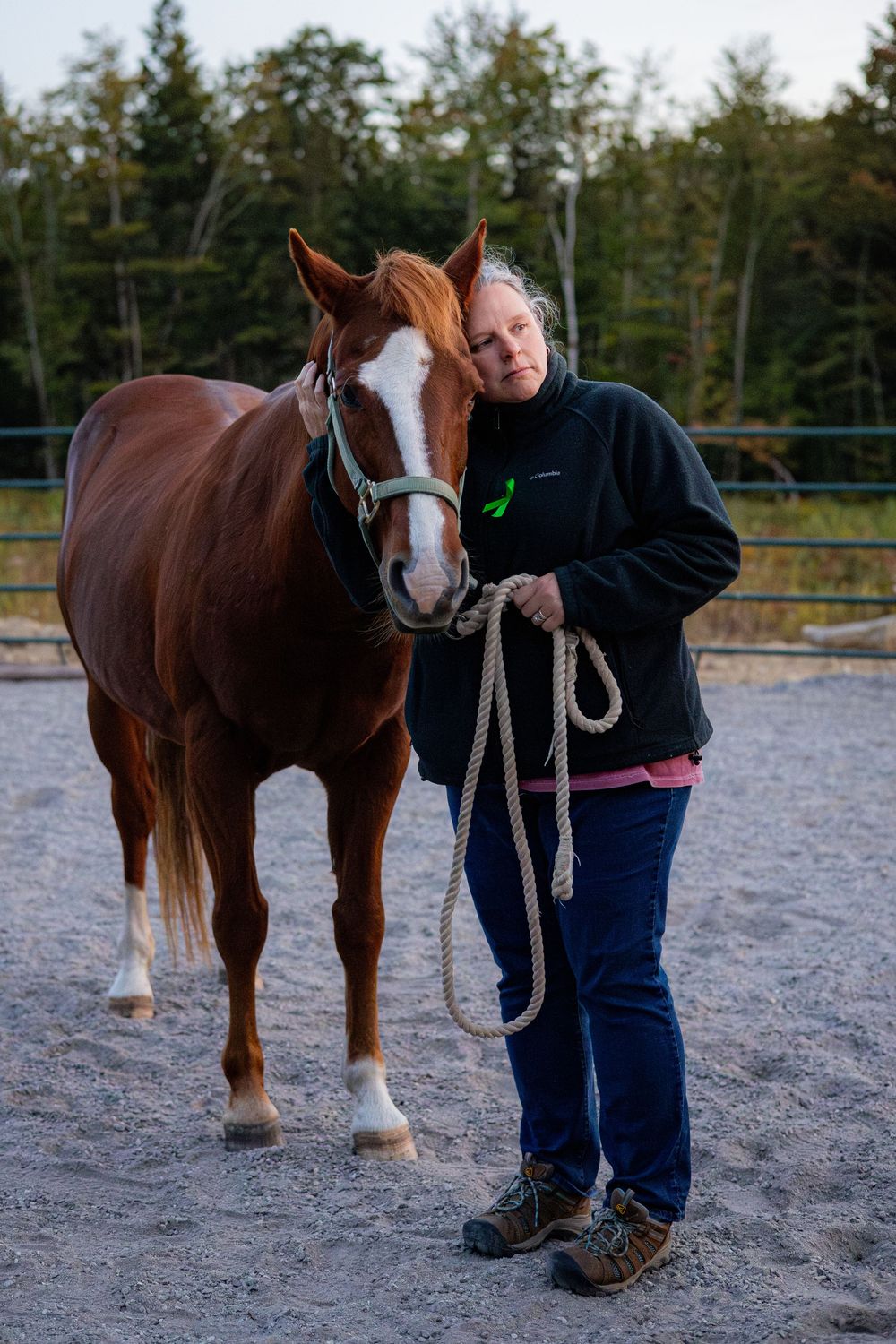 A person works with a chestnut horse in a sandy outdoor arena, demonstrating training or groundwork techniques.