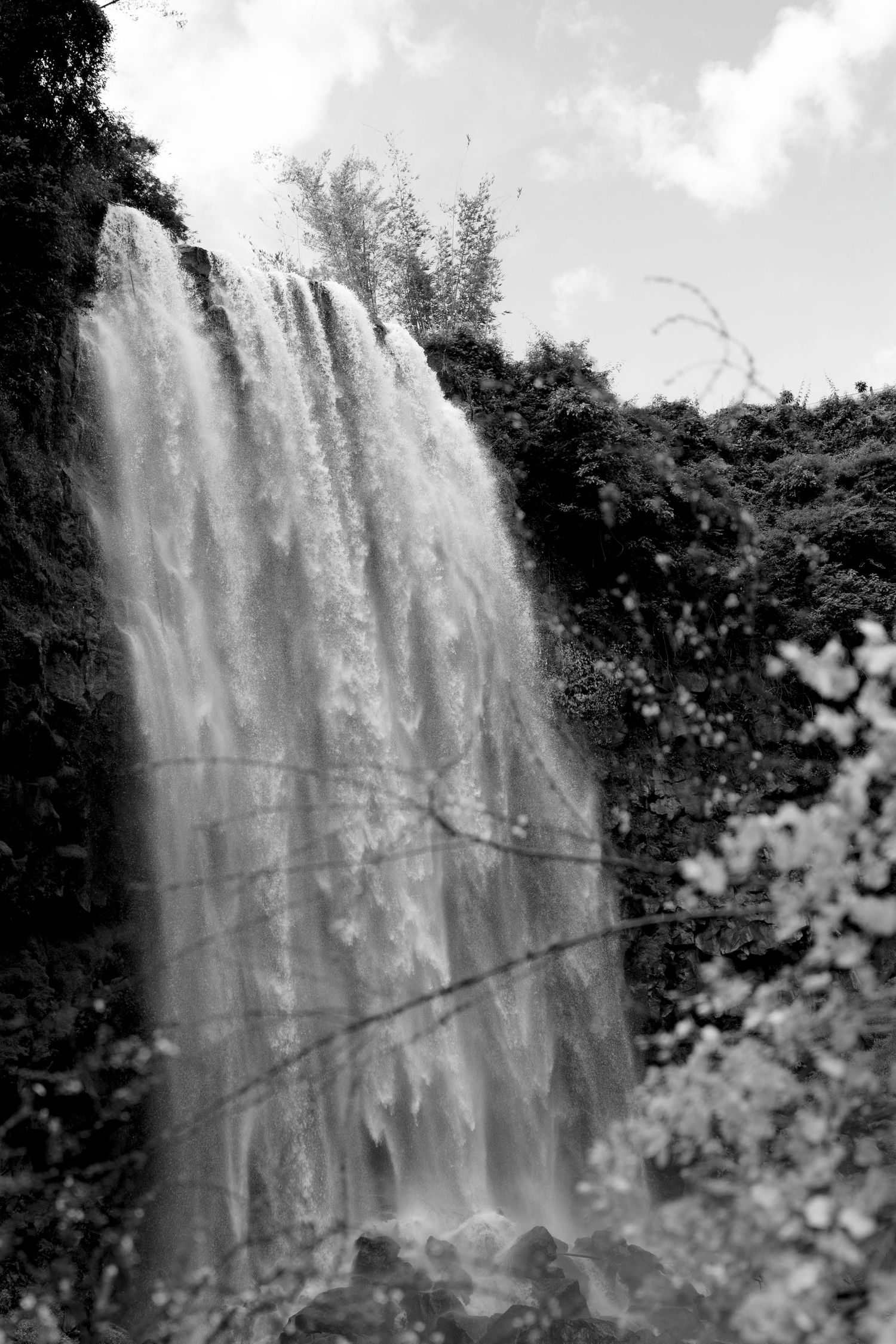 Dramatic black and white photo of a tall waterfall surrounded by lush tropical vegetation.